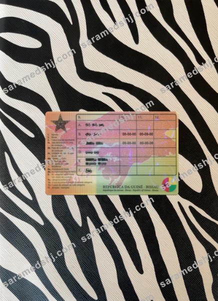 Guine-Bissau driving license photolook back